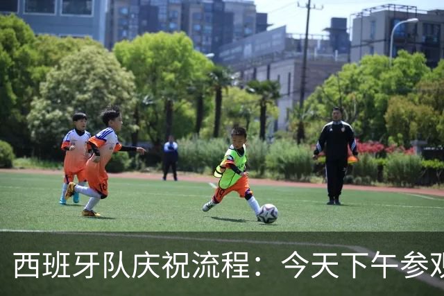 西班牙队庆祝流程：今天下午参观皇宫，晚上进行夺冠游行